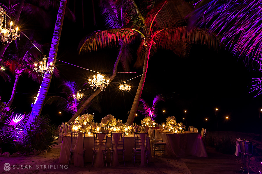 Doree and Tony's wedding at Little Palm Island is a stunning affair, with the palm trees lit up at night, creating a magical ambiance.
