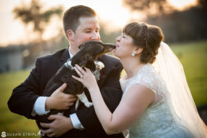 A bride and groom kissing their dog at sunset, reminiscing on the memorable moments of the 2016 Year In Review.