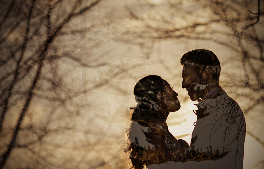 A silhouette of a couple kissing in front of a tree during their wedding at Chelsea Piers.