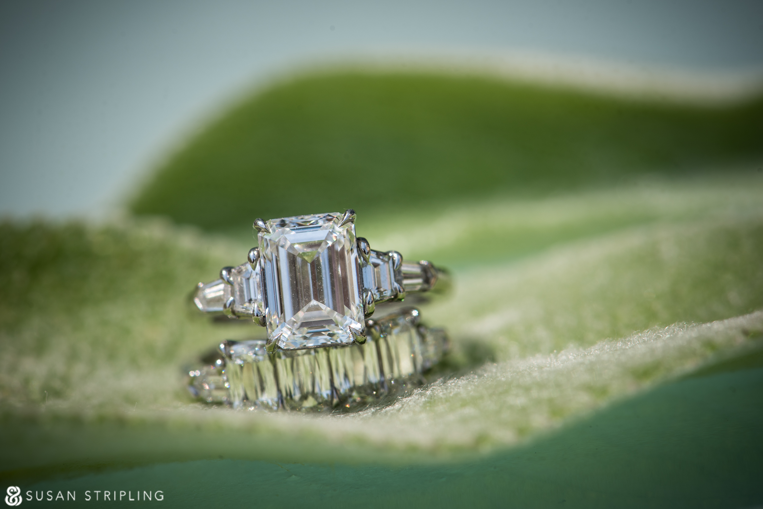 A diamond engagement ring sitting on top of a leaf at Ocean House in Rhode Island, perfect for a wedding.