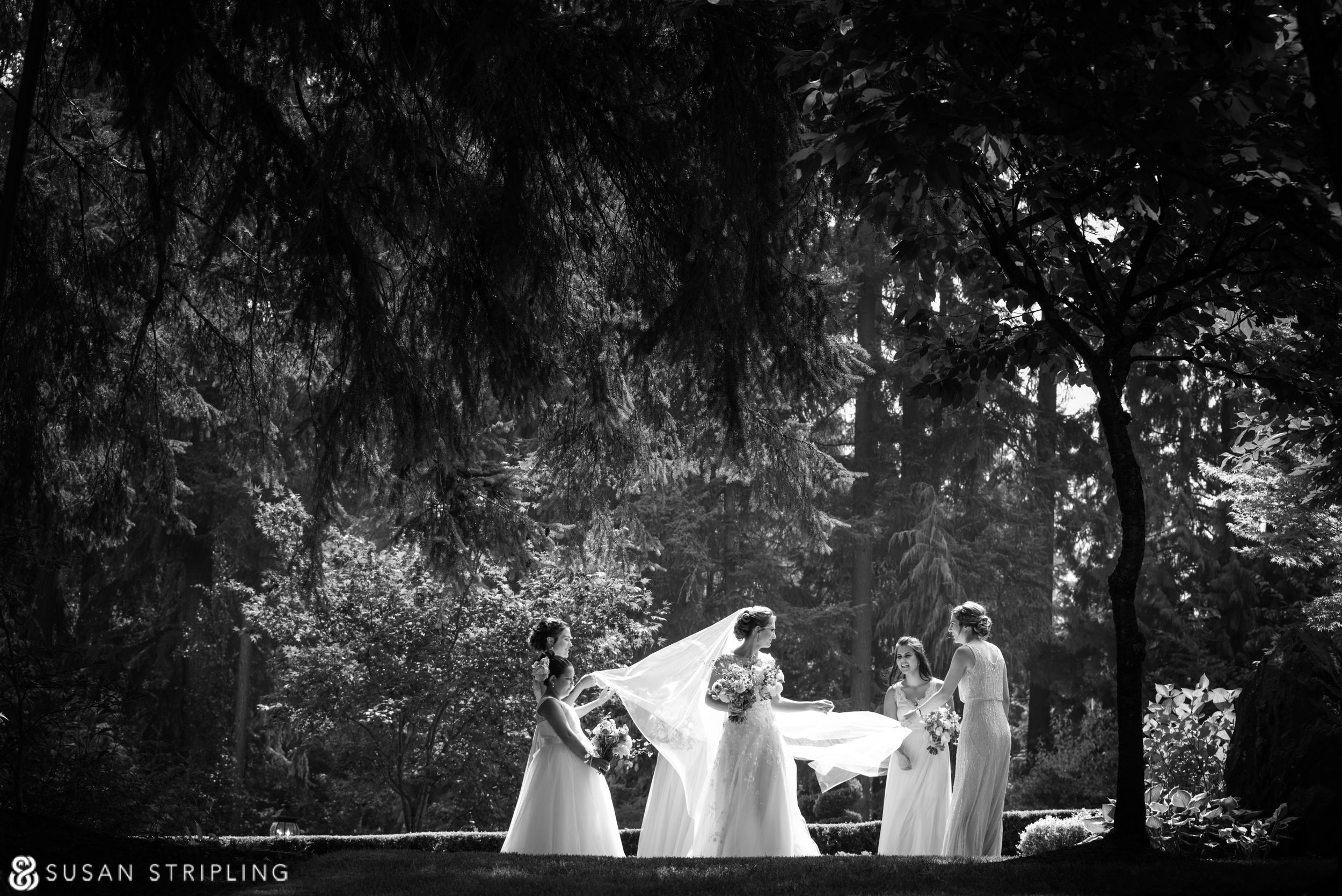 A bride and her bridesmaids are standing at Rock Creek Gardens, a serene woodland setting for a wedding.