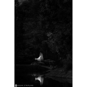 A black and white photo of a bride standing in the woods during her wedding at Rock Creek Gardens.