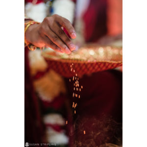 A New Jersey Indian bride pouring rice into a bowl during her wedding ceremony.