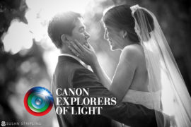 Canon Explorer of Light
