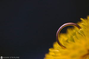 A destination wedding photographer captures a stunning image of a wedding ring delicately placed on top of a vibrant yellow flower.