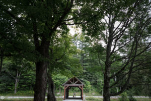 A wooden bridge surrounded by trees in a wooded area, perfect for a summer wedding ceremony at Riverside Farm.
