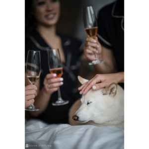 A group of women at a rooftop wedding are holding champagne glasses while a dog sits on their lap.