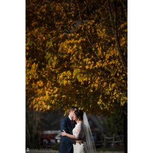 A bride and groom kiss in front of a yellow tree at their Fall wedding at Riverside Farm.