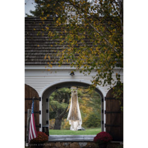 A bride with a veil standing in front of the Riverside Farm barn, capturing the essence of a fall wedding.