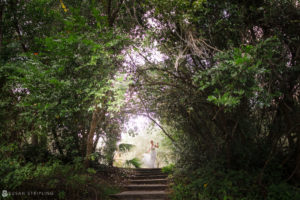 A bride is walking down a path in the woods on her way to her wedding at Quantum Leap Winery.