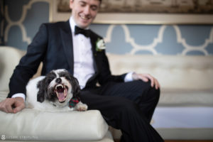 A man in a tuxedo sitting on a couch with a dog at a wedding.