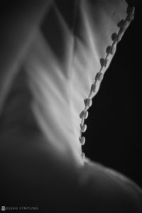 A wedding dress in a black and white photo at Philly's Union League.