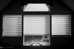 A black and white photograph of a window with blinds at the Nassau Inn Wedding.