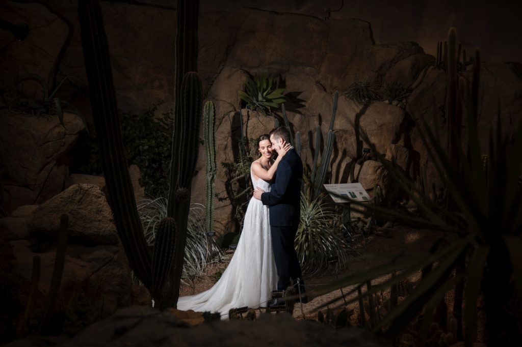A summer wedding couple kiss in front of cactus plants at the Brooklyn Botanic Garden