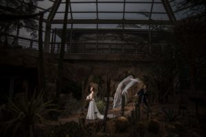 A bride and groom standing in a cactus garden at the Brooklyn Botanic Garden.