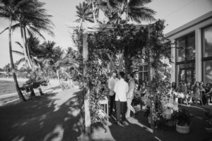 A black and white photo of a wedding ceremony at the Ritz Carlton Dorado Beach, under a palm tree.