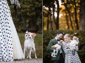 A bride and groom with their dogs in polka dot dresses at their New York wedding.