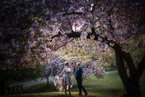 A wedding couple standing under a cherry blossom tree in New York.