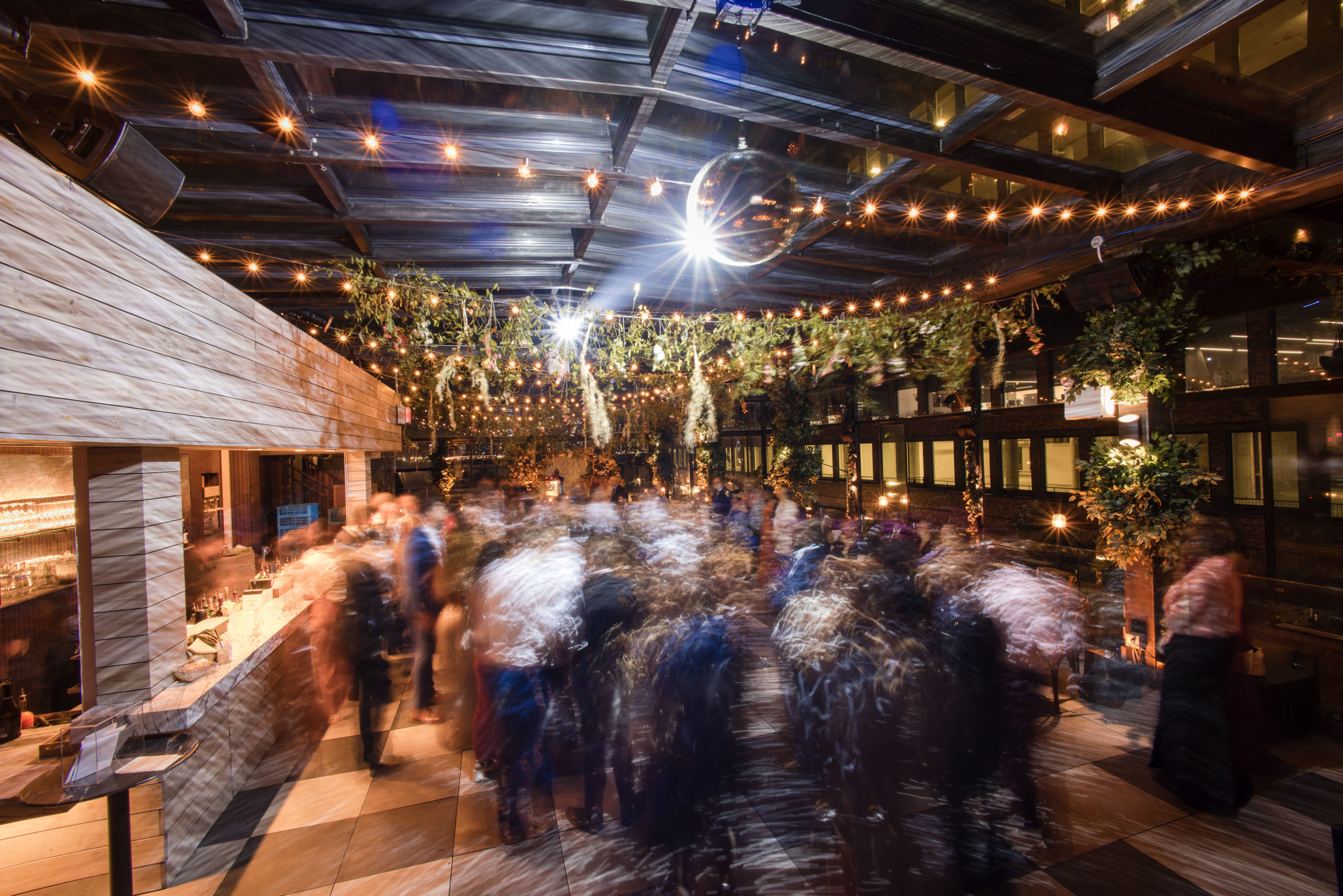 A group of people dance under string lights and a disco ball in an indoor venue decorated with hanging plants.