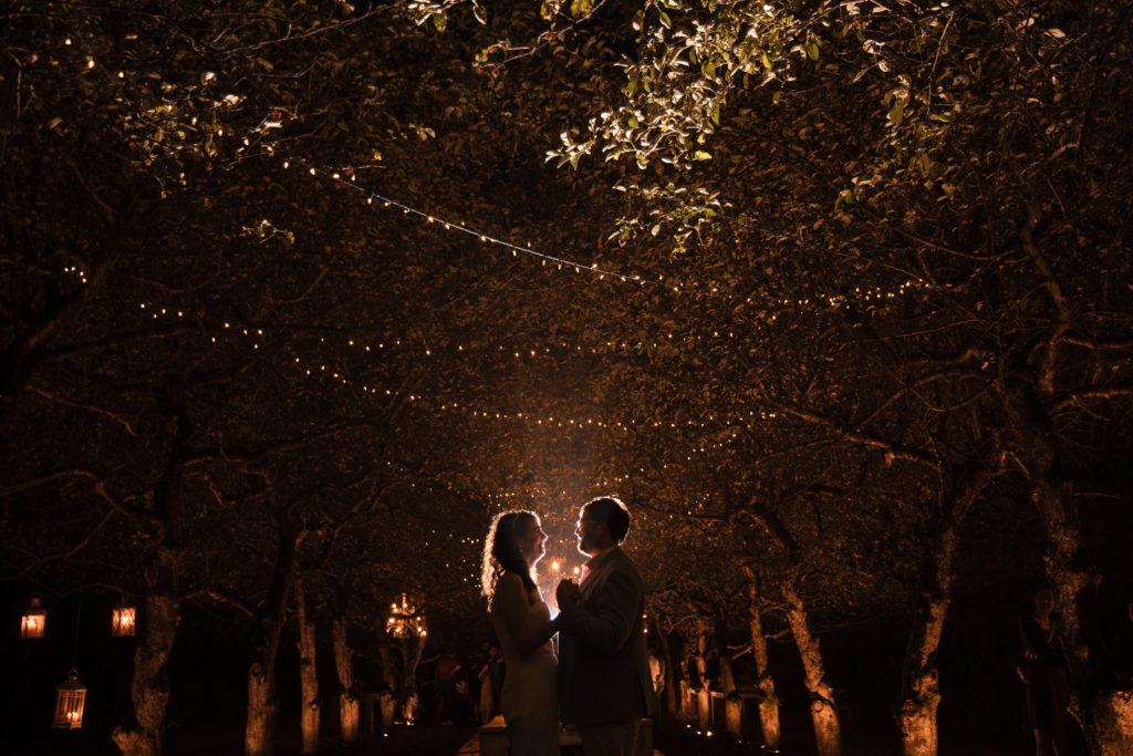 A bride and groom celebrating their wedding night under a tree in New York.