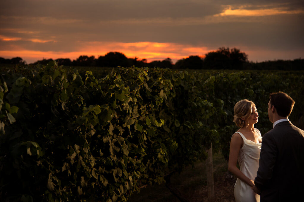 A bride and groom holding hands and standing in a vineyard.