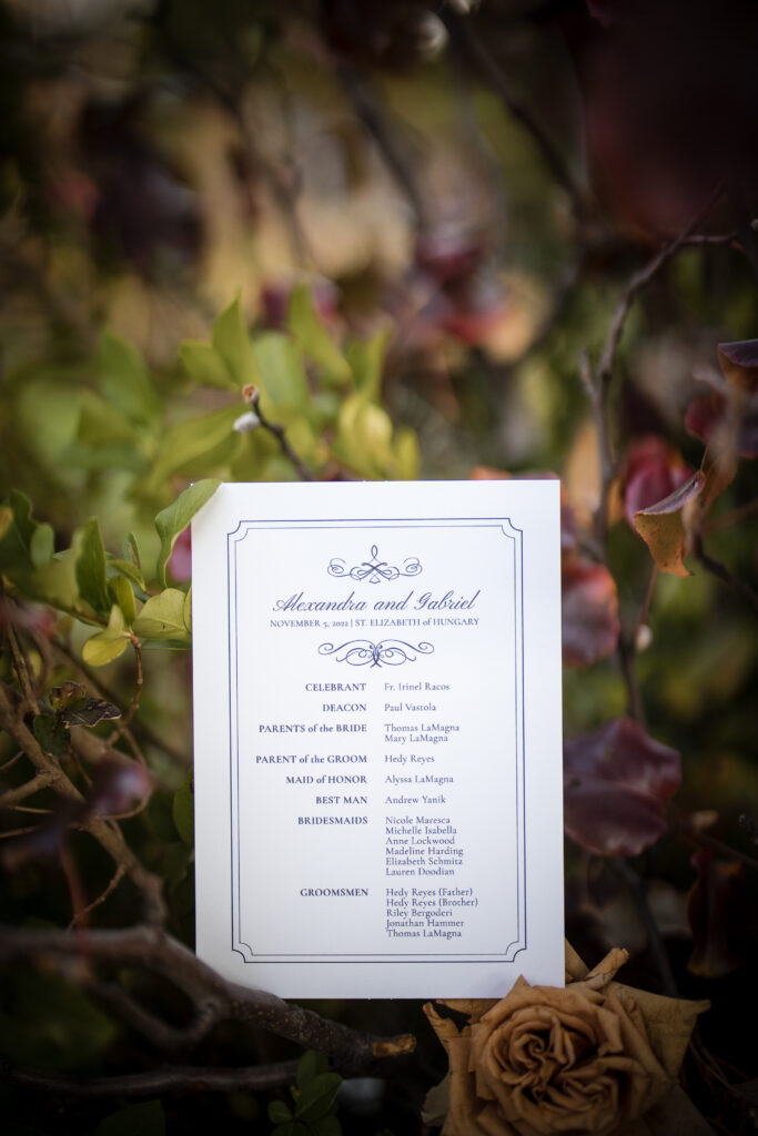 A wedding invitation sitting on a branch.