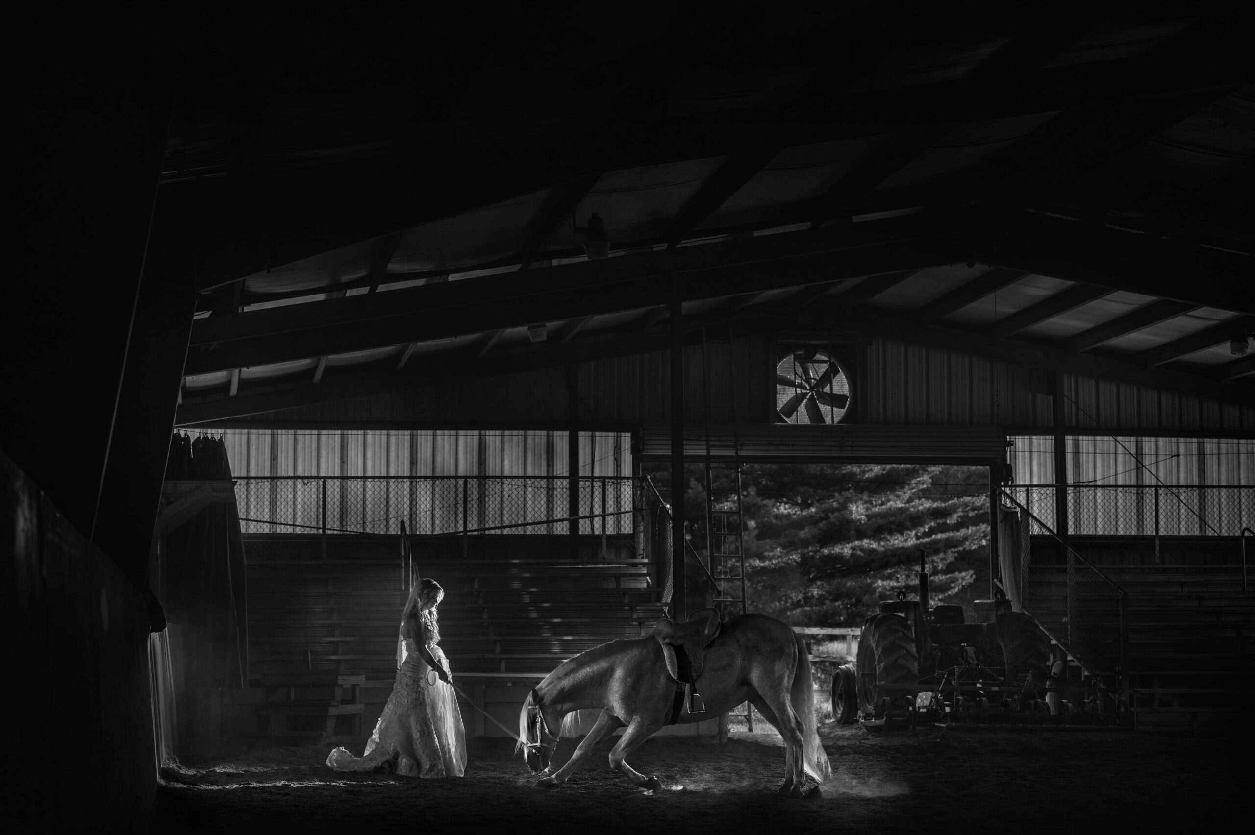 A woman in a long dress stands in an indoor arena, holding a lead rope as a horse kneels on the ground in front of her; light filters in from behind, captured with the artistry of a New Jersey wedding photographer.