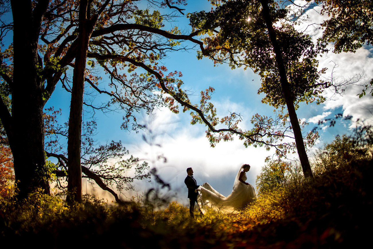 A striking silhouette of a bride and groom holding hands under a vast sky, framed by the intricate branches of large trees, against a backdrop of clouds and sun rays.