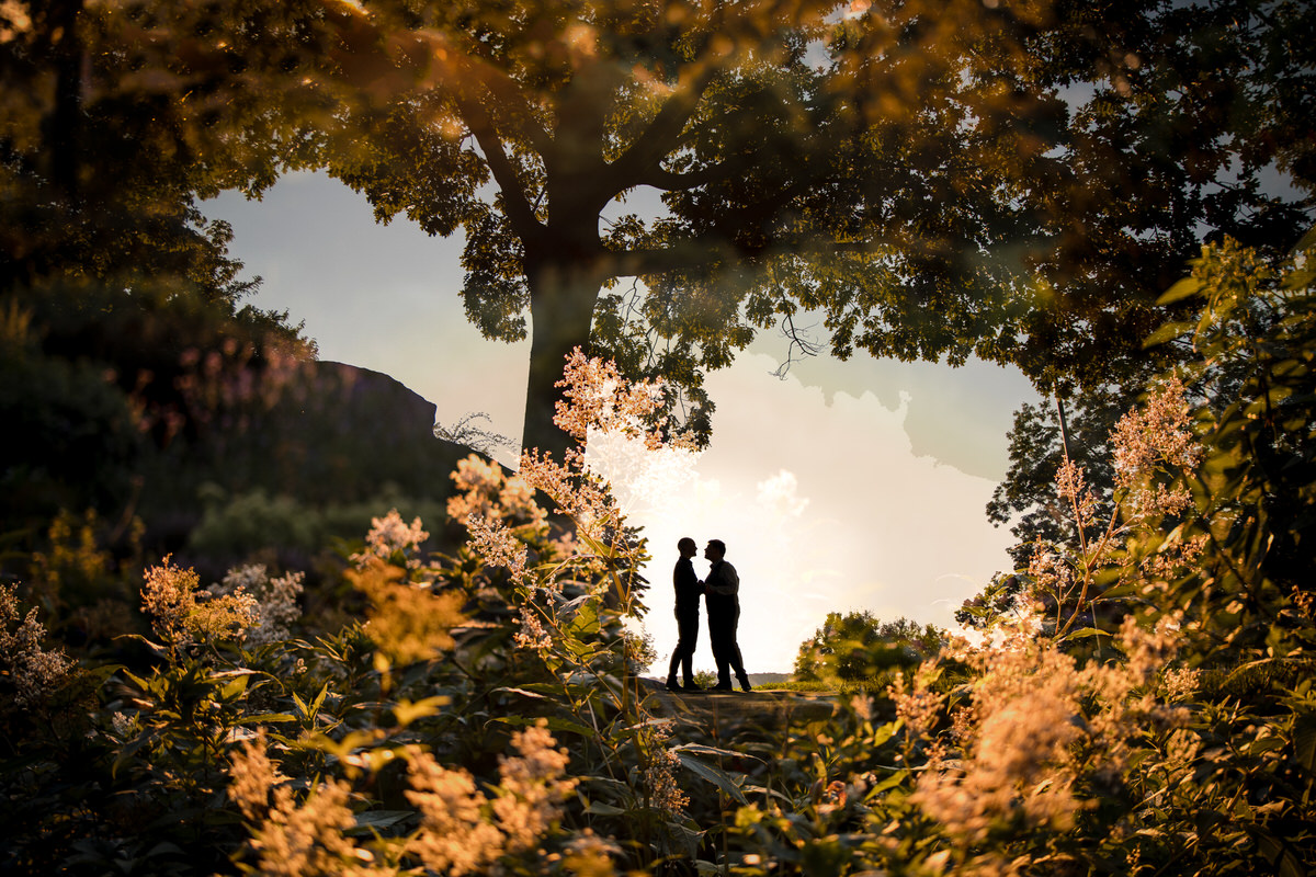 Silhouettes of a couple standing under a tree with sunlight streaming through, creating a warm and picturesque scene amid tall grass and foliage.
