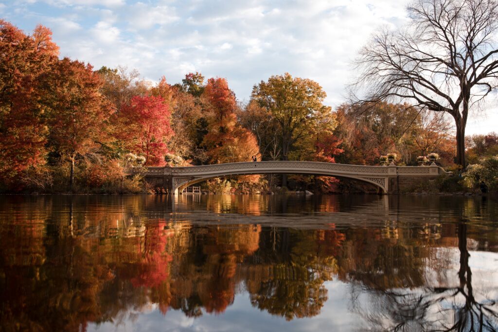 A serene autumn scene in Central Park with Bow Bridge over a reflective pond surrounded by trees with fall foliage, perfect for wedding photos.