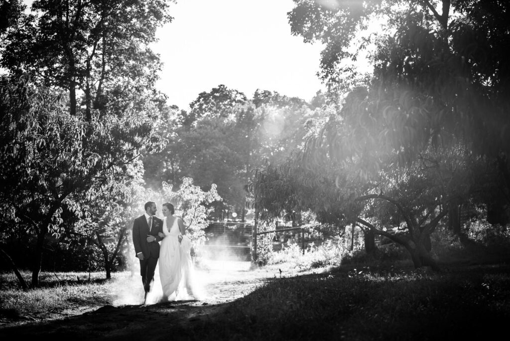A newlywed couple walks hand-in-hand in a black and white forest scene, sunlight filtering through the trees to create a dreamy atmosphere.