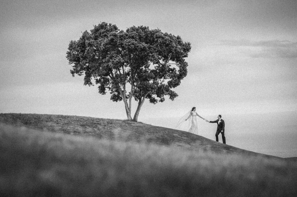 A bride and groom holding hands on a hilltop under a large tree at a Resort at Pelican Hill wedding, with a dramatic cloudy sky in the background, in black and white.