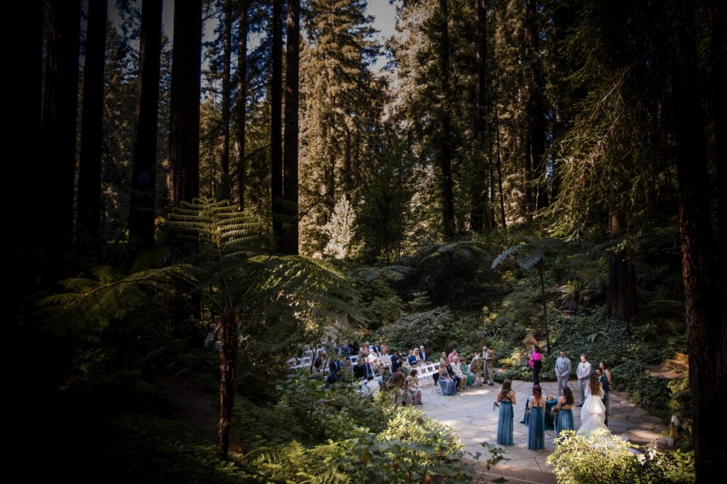 A Nestldown wedding ceremony takes place in a forest, surrounded by tall trees and greenery, with guests seated on white chairs and the couple at the forefront.