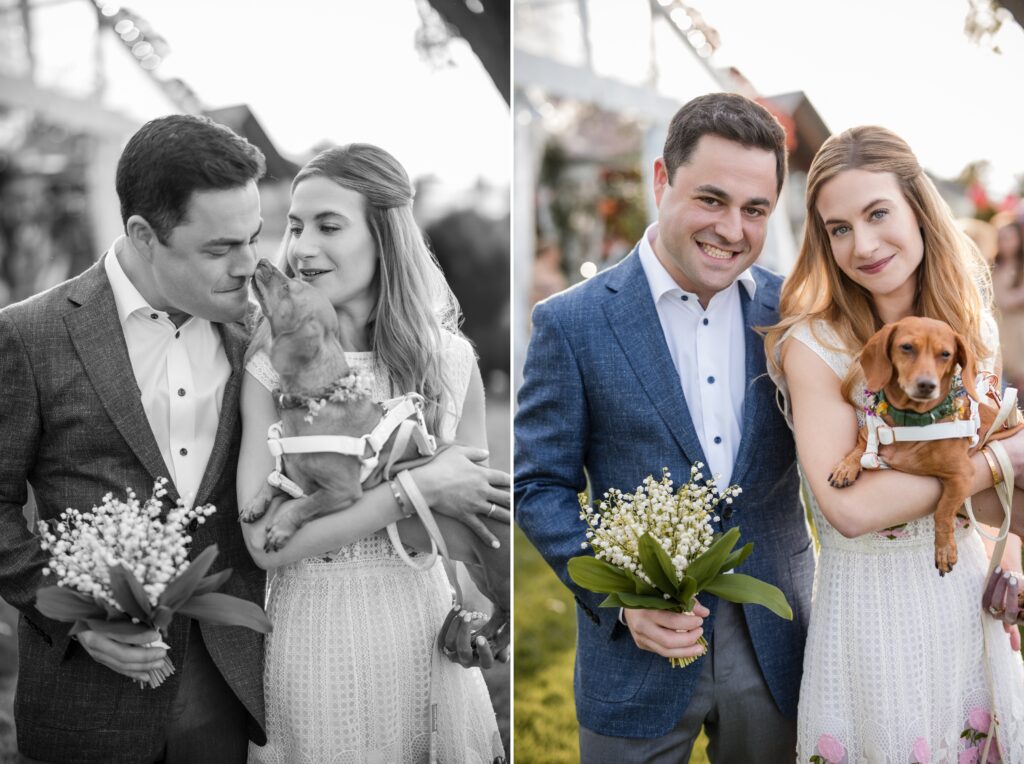 A couple in formal attire poses for photos outdoors at their Westport, Connecticut wedding. One image is in black and white while the other is in color. They hold a small dog and bouquets of flowers.