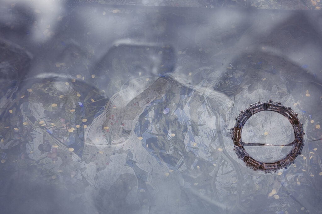 A close-up image shows a metallic ring partially encased in ice, surrounded by various natural debris trapped within the frozen surface. The scene has a cold, bluish tone.