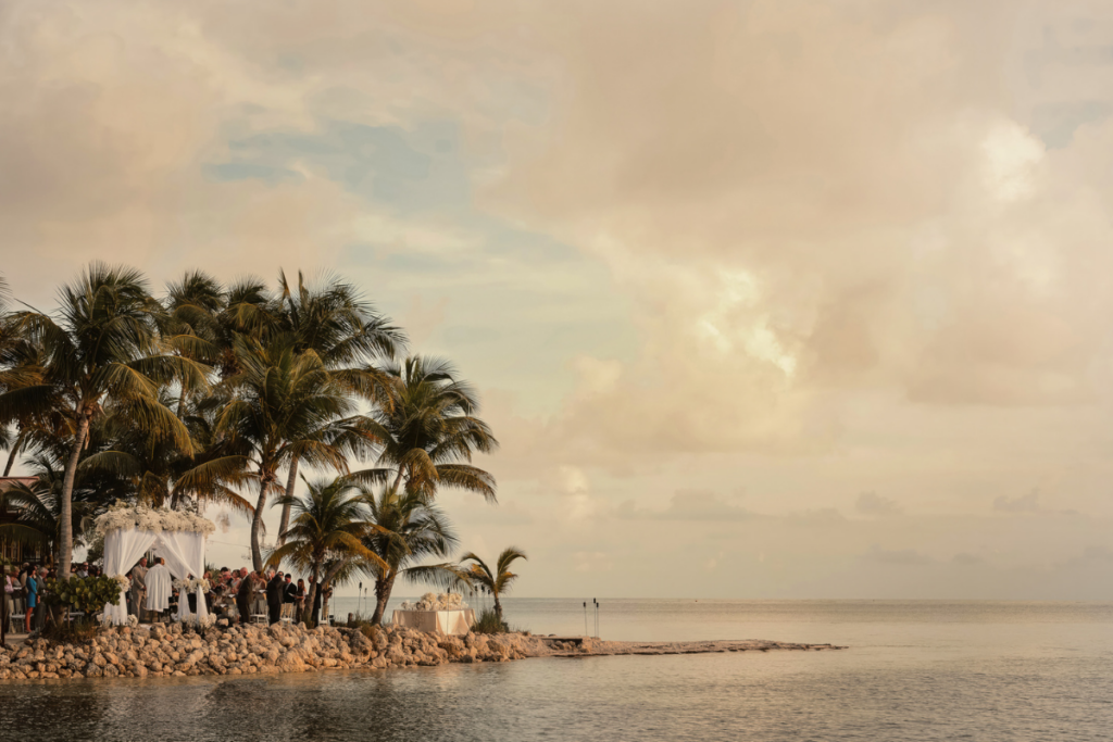 A wedding ceremony is taking place outdoors near palm trees on a rocky shore with a calm sea and cloudy sky