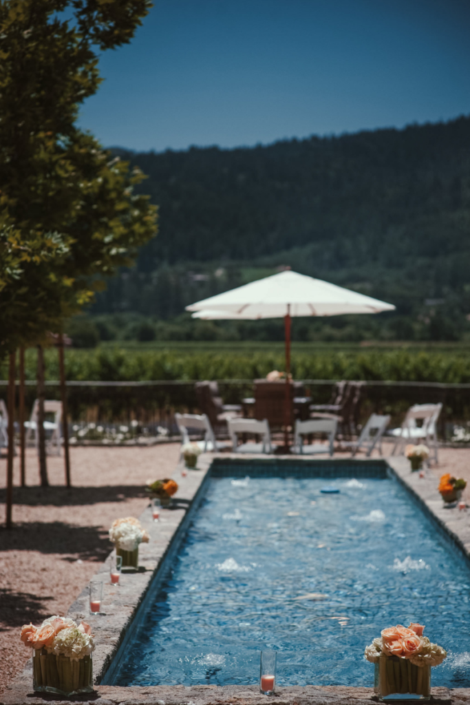 A narrow luxury swimming pool with flowers and drinks lined along the edge with a mountain view