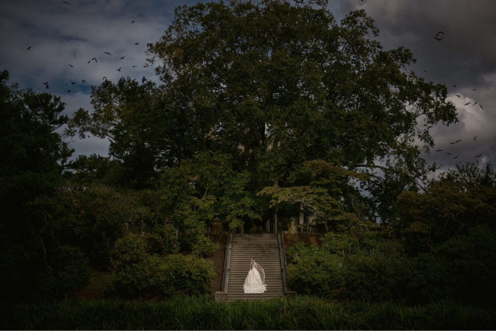 A bride in a white gown stands on stone steps in front of a large, lush green tree with a dramatic cloudy sky and birds flying overhead, capturing the serene beauty of her wedding weekend.