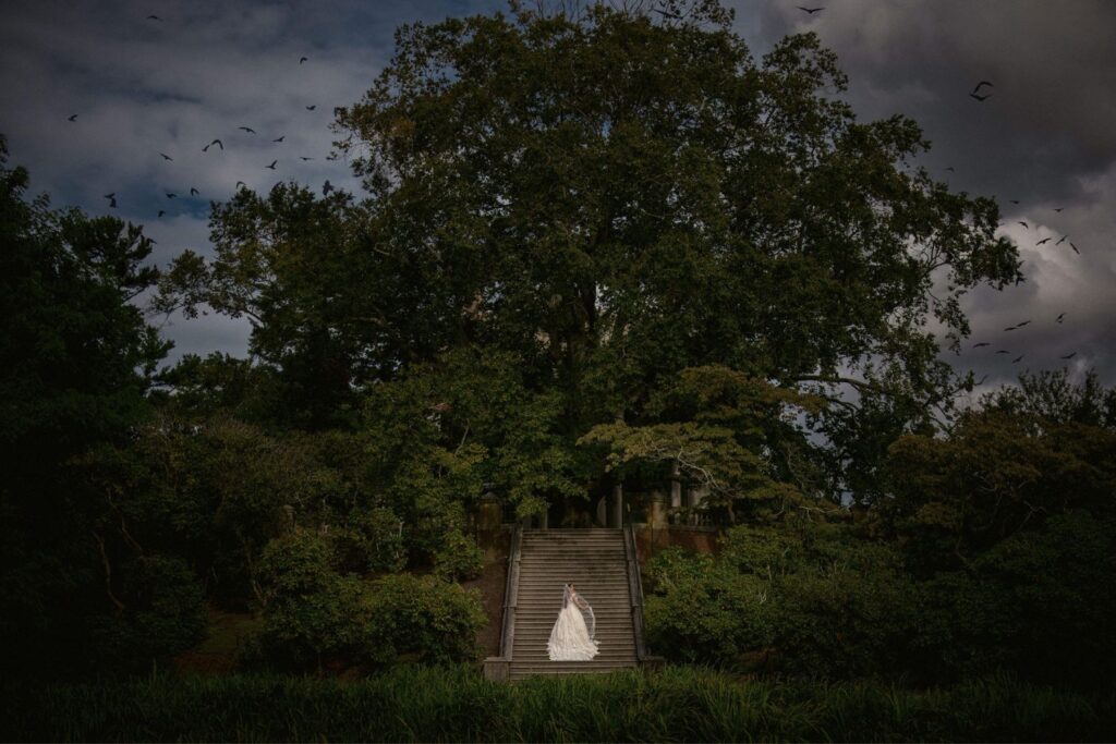 A bride in a white gown stands on stone steps in front of a large, lush green tree with a dramatic cloudy sky