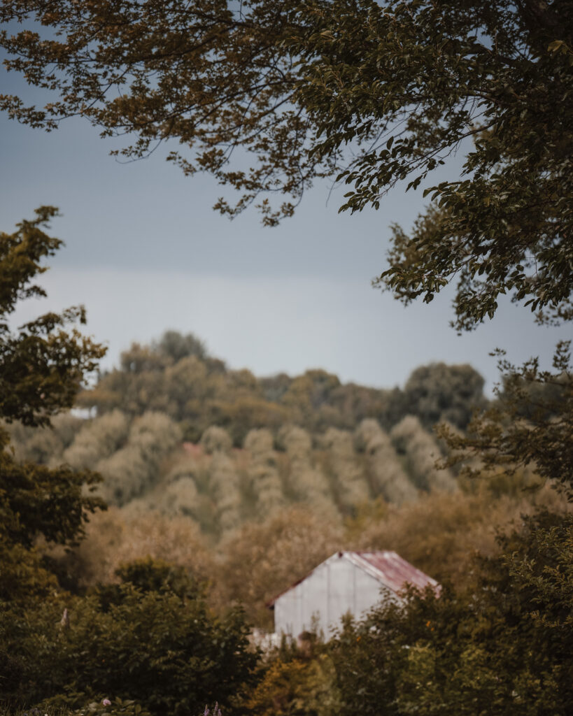 Cabin at Liberty View Farm wedding venue