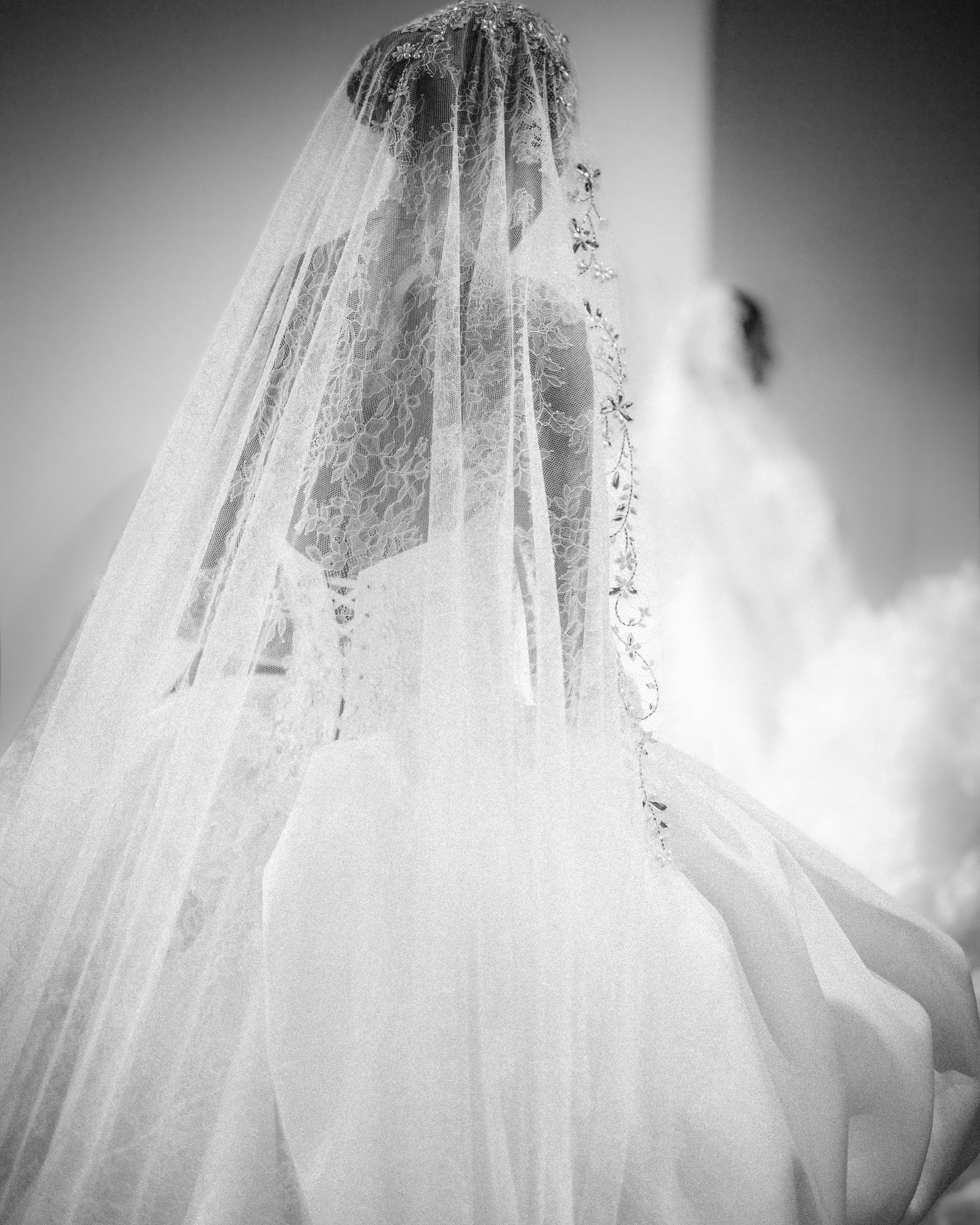 A bride in a luxurious gown from the Pnina Tornai AURA Collection, complete with an elegant lace veil, stands with her back to the camera in a softly lit setting.