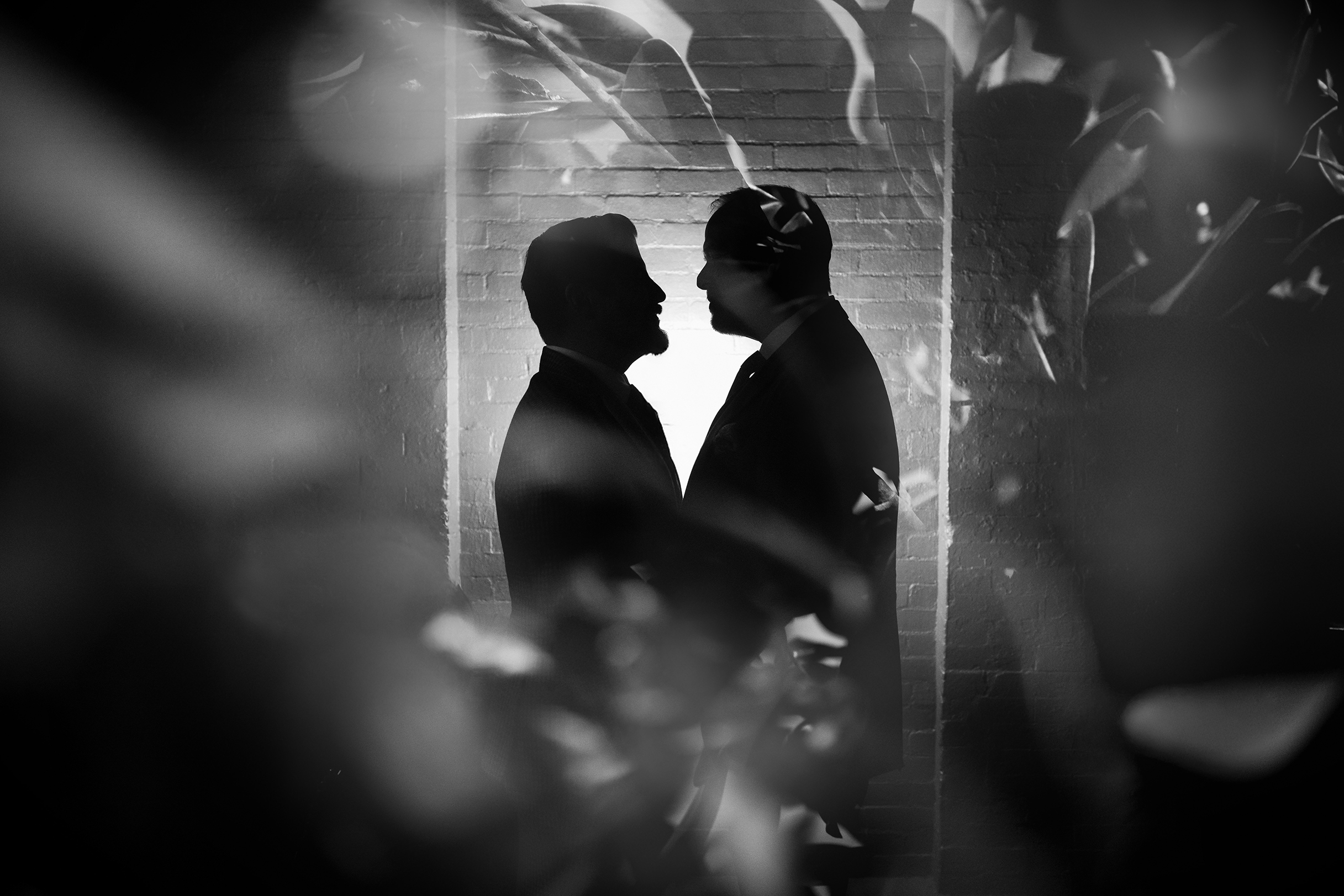 Two people in silhouette stand facing each other, surrounded by shadows and leaves, with a bright light behind them, capturing the mystery and romance often found at a Little Owl townhouse wedding.