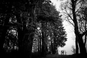 8 Stunning Wedding Venues in Hudson Valley - Susan Stripling Photography