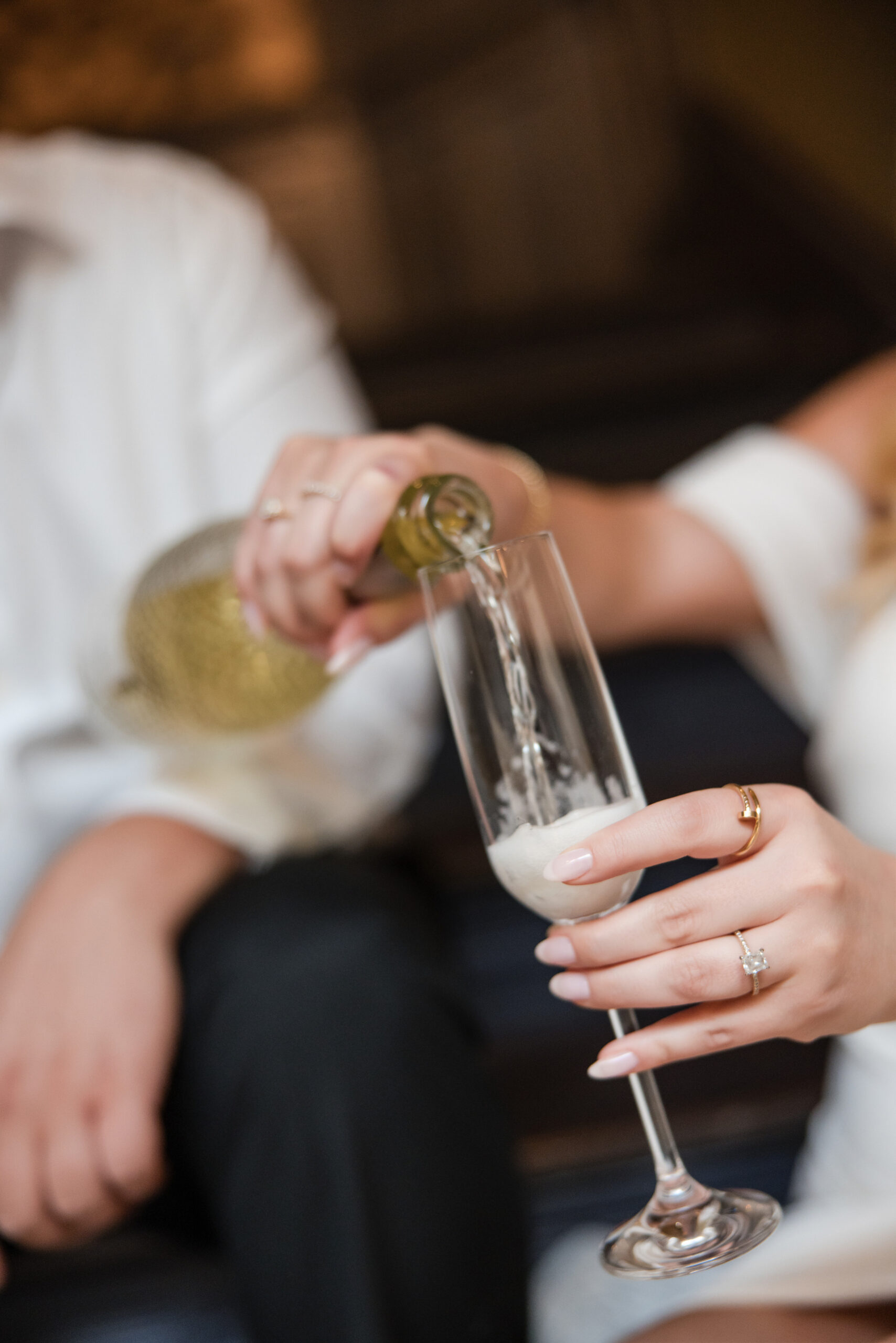 beekman hotel engagement photos