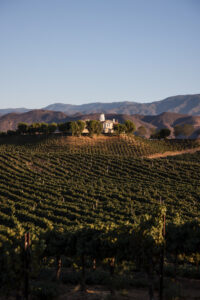 Rows of grapevines stretch across a sunlit hillside with a large house and trees on top, perfect for a Leoness Cellars wedding, and mountains visible in the background under a clear sky.