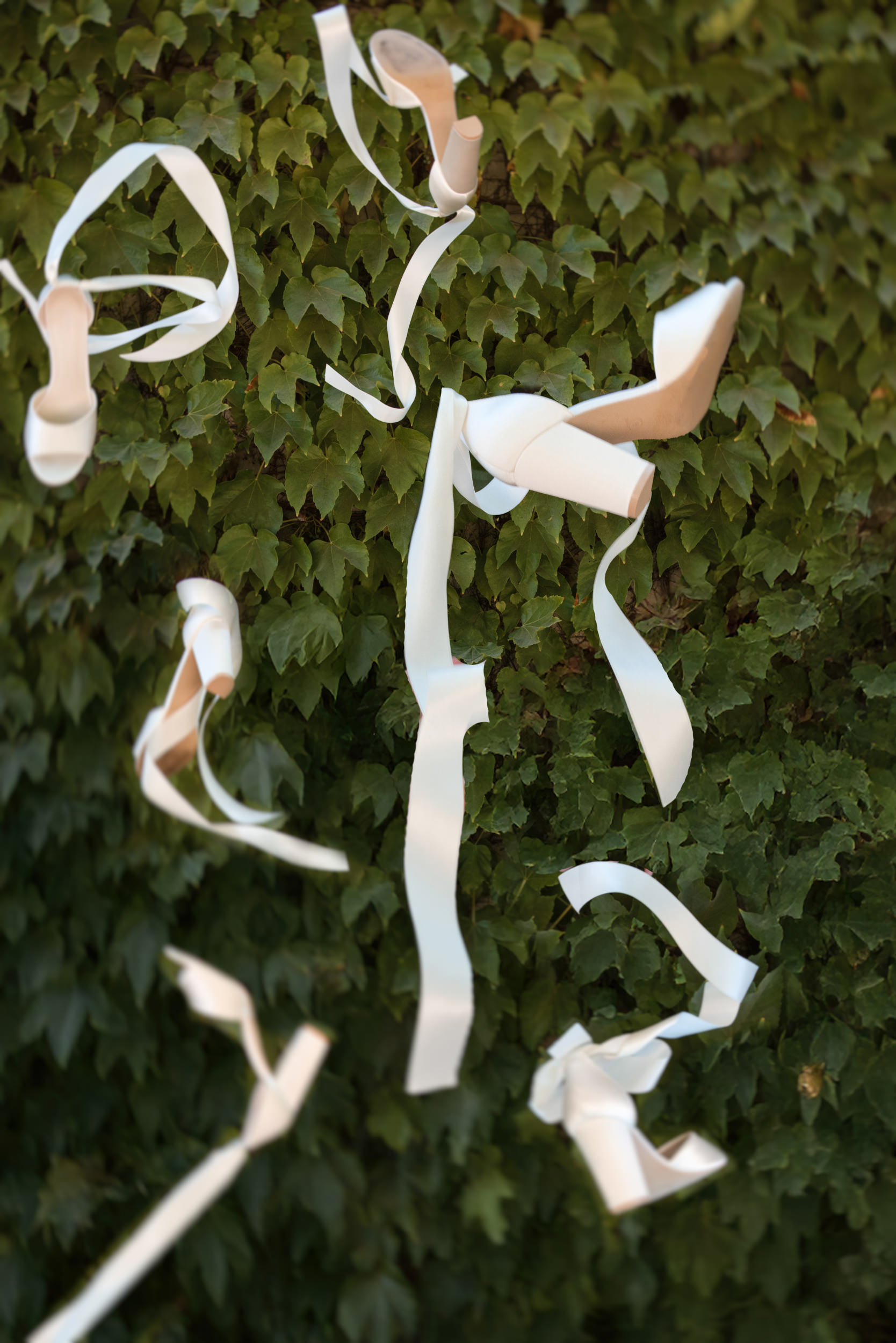 A white paper rolls on a green bush, capturing the serene charm perfect for a Leoness Cellars wedding.