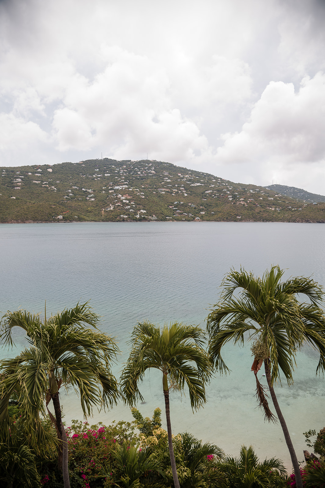 A calm bay with clear water, three palm trees in the foreground, and a hillside with scattered houses under a cloudy sky—an idyllic setting for a St. Thomas wedding.