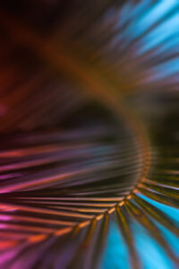 Close-up of abstract curved lines in vibrant colors—orange, pink, blue, and green—with a blurred background and a sense of motion, evoking the lively energy of a St. Thomas wedding celebration.