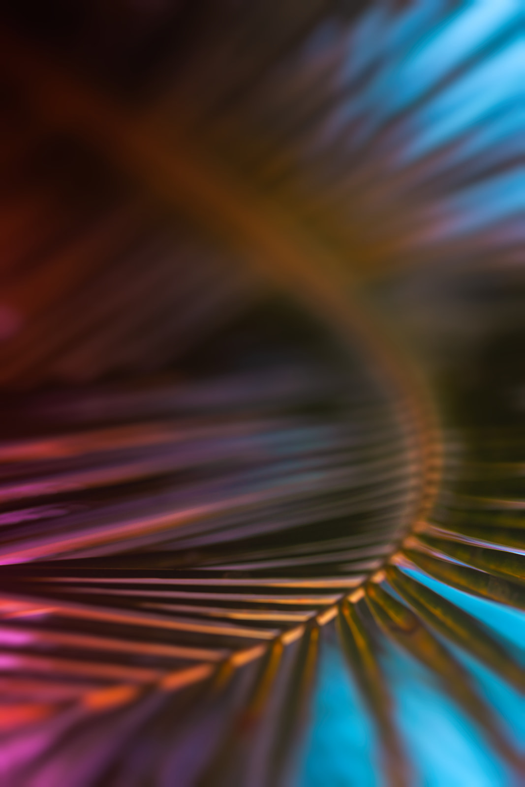 Close-up of abstract curved lines in vibrant colors—orange, pink, blue, and green—with a blurred background and a sense of motion, evoking the lively energy of a St. Thomas wedding celebration.