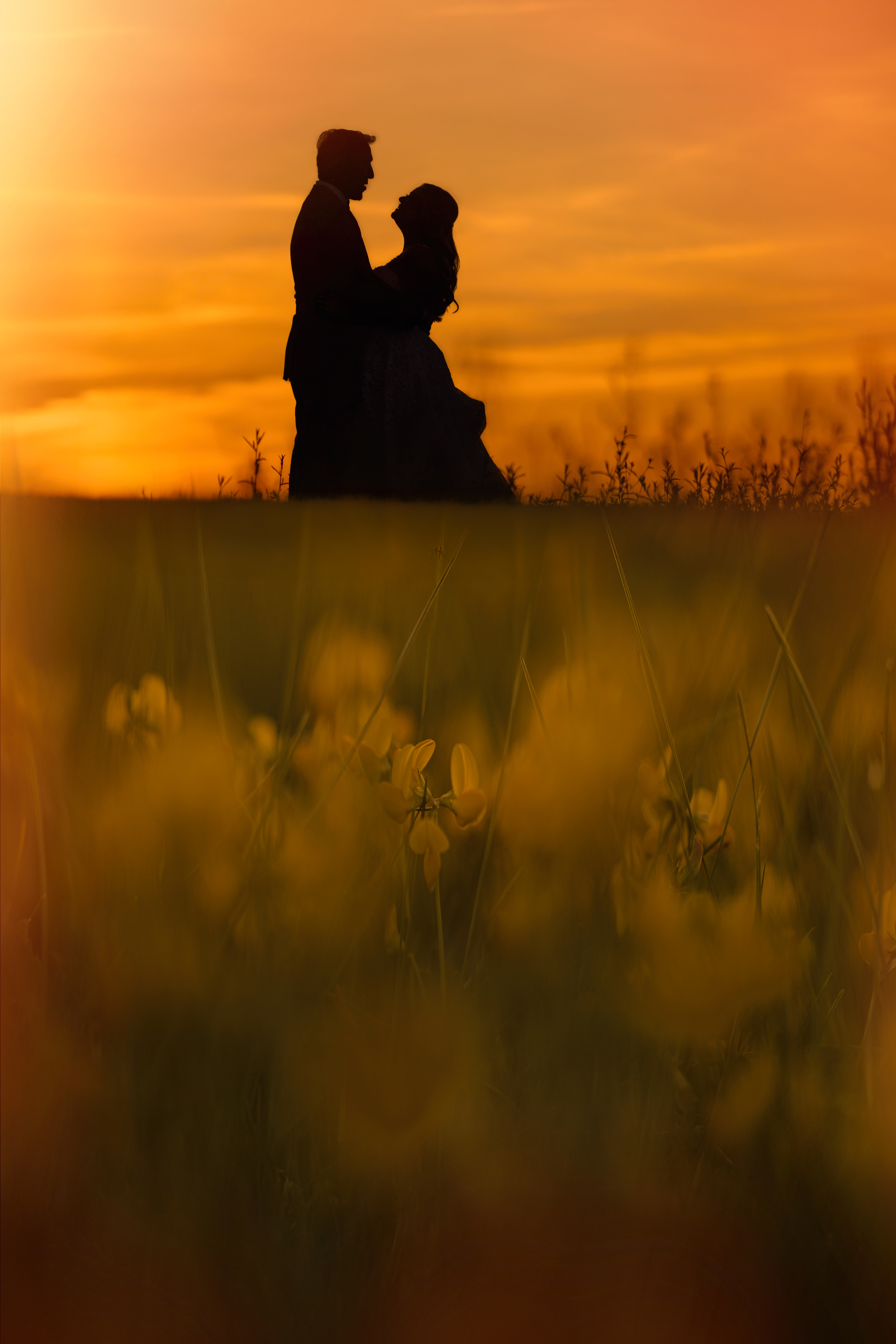 Silhouette of two people standing close together in a field at sunset, reminiscent of a romantic Regatta Place wedding, with blurred yellow flowers in the foreground.